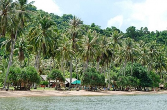 Rabbit Island beaches